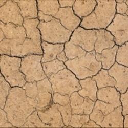 Global Trends in Climate Litigation 2026 Snapshot Report Launch