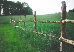 rustic wooden fence in field with wild grass